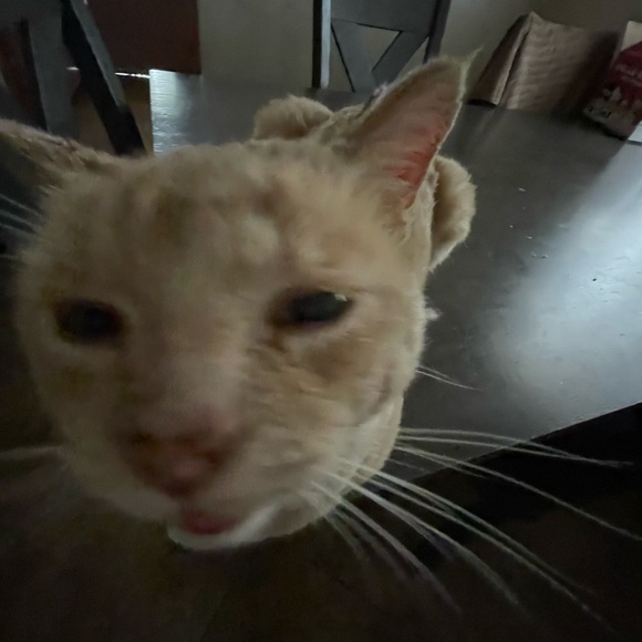 jasmingaribay84